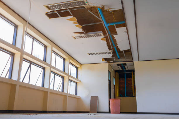 Best Flood damage cleanup  in Mount Carroll, IL