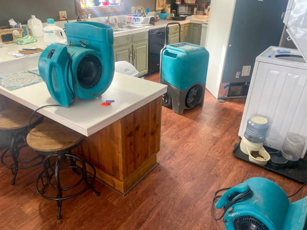Best Water damage restoration services  in Mount Carroll, IL