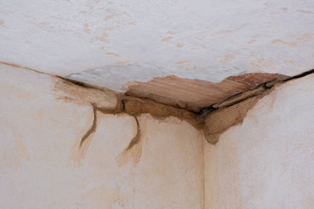 Best Commercial water damage restoration  in Mount Carroll, IL