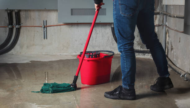 Best Fire Damage Restoration  in Mount Carroll, IL