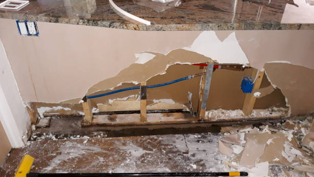 Water damage restoration mold remediation in Mount Carroll, IL