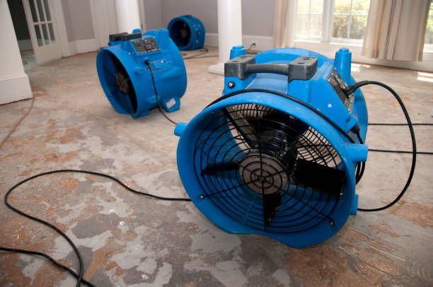Best 24-hour water damage restoration  in Mount Carroll, IL