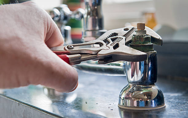 Best Water damage restoration services  in Mount Carroll, IL