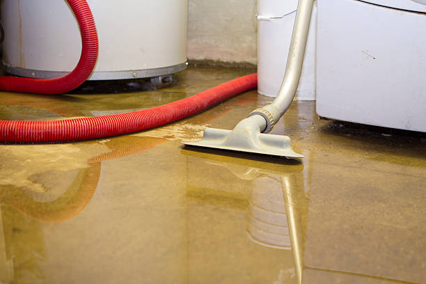 Best Ceiling water damage repair  in Mount Carroll, IL