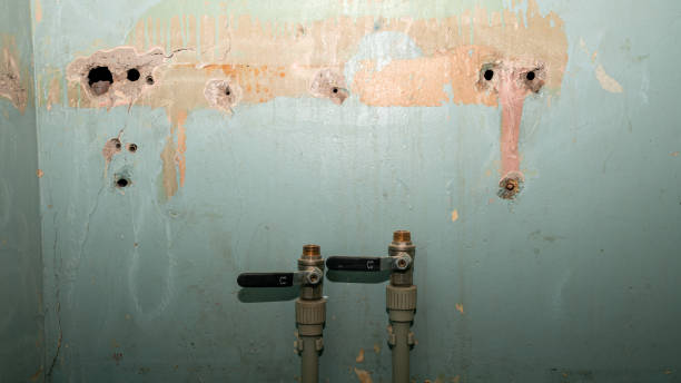 Sewage cleanup and water damage restoration in Mount Carroll, IL