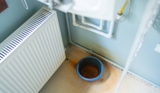 Best Water damage restoration insurance claims  in Mount Carroll, IL