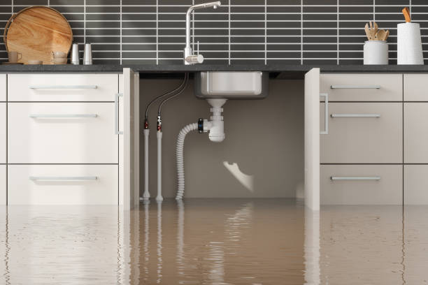 24/7 water damage repair in Mount Carroll, IL