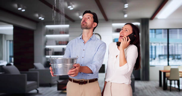 Best Sewage cleanup and water damage restoration  in Mount Carroll, IL