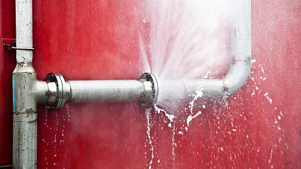 Best Professional water damage repair  in Mount Carroll, IL